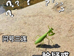 -幽岚山·童话森林