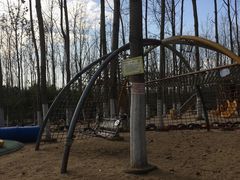 -合肥滨湖国家森林公园