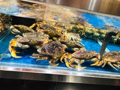 -盒马X会员店(王府井奥莱UP TOWN店)