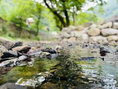 -北仑森林植物园