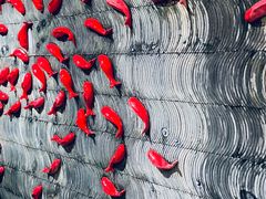 -徐师傅太子锅(文化路店)