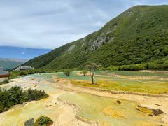 -黄龙山原始森林景区