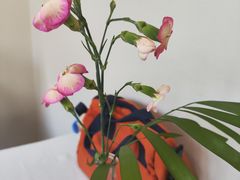 -長泰華府(长泰广场店)
