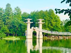 -东湖落雁景区