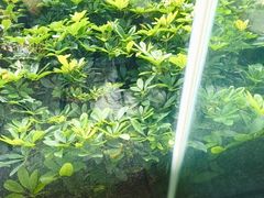 -小众茶餐厅(金山店)