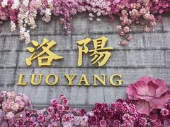 -洛阳龙门站