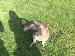 -威勒比开放式动物园