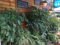 -京北渔家傲