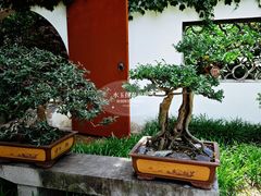 -上海醉白池公园
