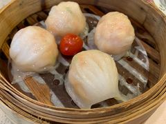金牌虾饺皇-点都德(北京路贰店)
