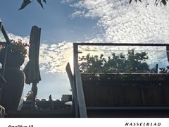 -SUSU·苏苏(四合院创始店)