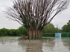 -赵州桥景区