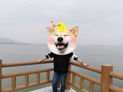 -南京金牛湖风景区