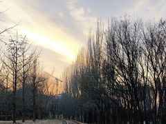 -将府公园