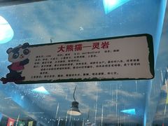 -栾川竹海野生动物园
