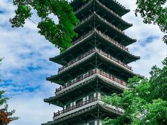 -宜兴龙背山森林公园