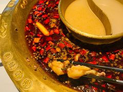 美蛙火锅-哥老官重庆美蛙鱼头(宝山龙湖店)