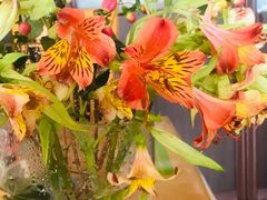 -昆明国际花卉拍卖交易中心