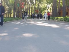 -长春公园(普阳街道)