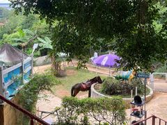 -水濂山森林公园