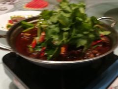 -沪碟·精菜坊(闵行店)