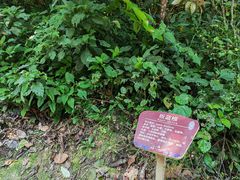 -古龙山大峡谷