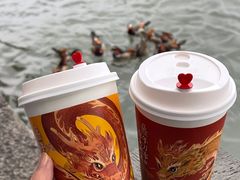 -西湖游船
