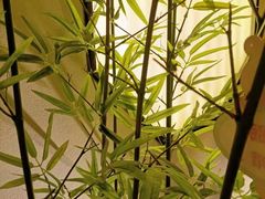 -小厨娘淮扬菜(六合欢乐港店)