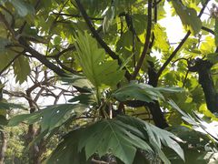 -晓港公园
