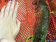 -量贩海鲜餐厅
