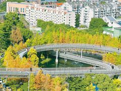 -福道