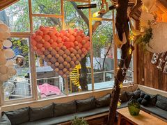 -春树下·树屋花房西餐厅(罍街AS1980店)