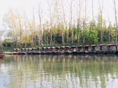 -溱湖国家湿地公园