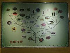 -上海昆虫博物馆