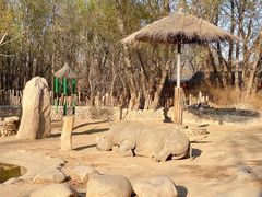 -北京野生动物园