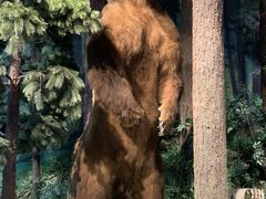 -陕西自然博物馆