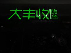 -大丰收脆鱼(浦西万达店)
