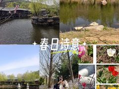 -横山寺