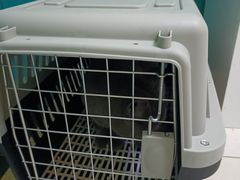 -乖乖宠物医院·猫科·急重症中心(车站北路分院)