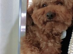 -美酷口腔牙齿矫正(江桥万达店)