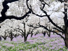 -江苏三台山国家森林公园
