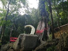 -七仙岭温泉国家森林公园