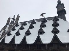 -哈利波特魔法世界