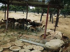 -西安秦岭野生动物园