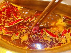 -房子红了鱼豆花重庆老火锅(广厦学院店)