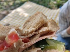 -桤木河湿地公园