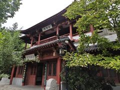 -趵突泉景区