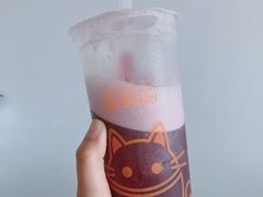 满杯葡萄-啵啵喵·猫咖(攀华国际店)