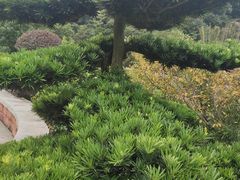 -西园北里-李立故居