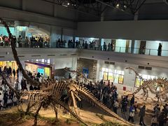 -自贡恐龙博物馆
